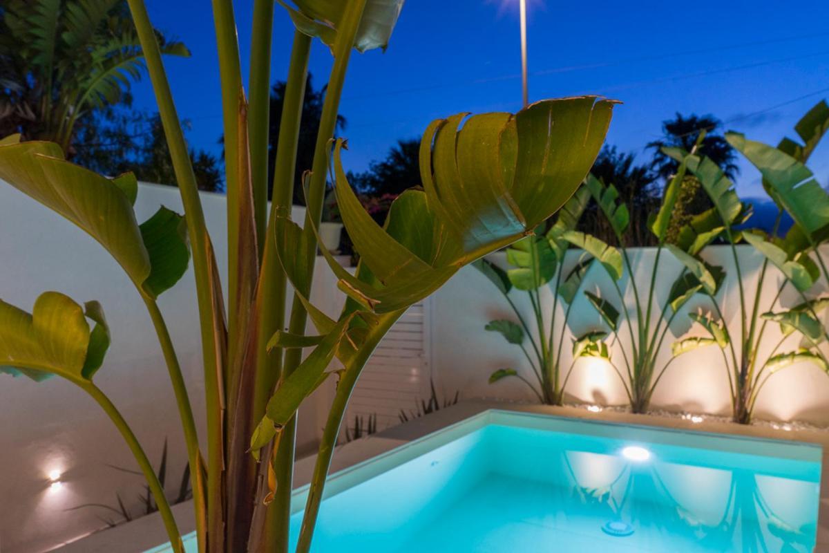 סנטה מריה דל פוקלו Villa Delle Palme Con Piscina Privata מראה חיצוני תמונה